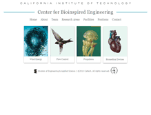 Tablet Screenshot of bioinspired.caltech.edu